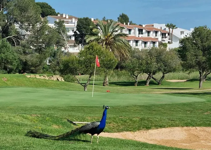 Appartement El Ton Golf *